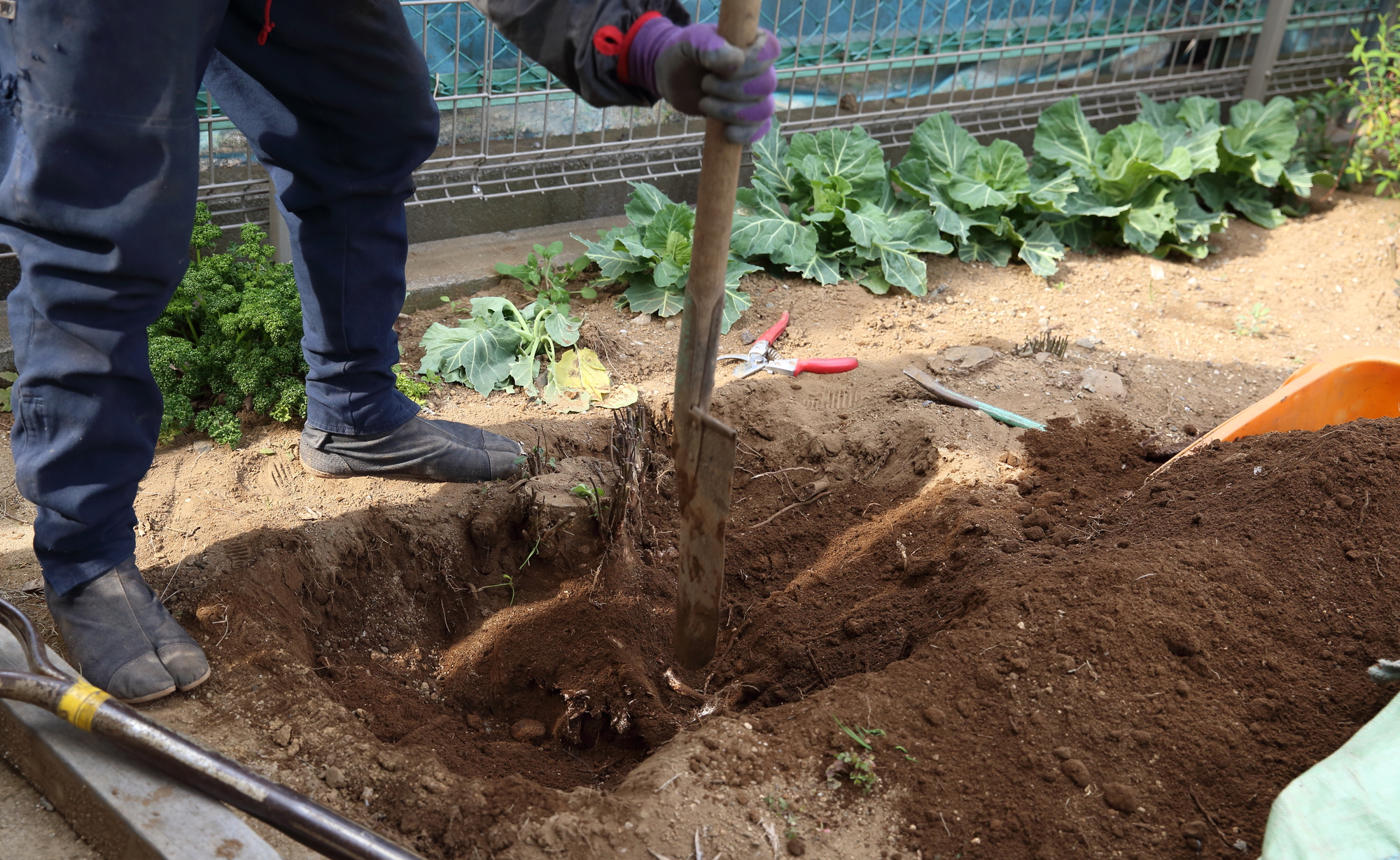 土壌改良材・肥料・培養土